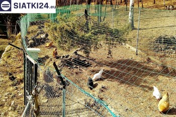 Siatki Przasnysz - Siatka na woliery - zabezpieczenia ptaków w hodowli dla terenów Przasnysz